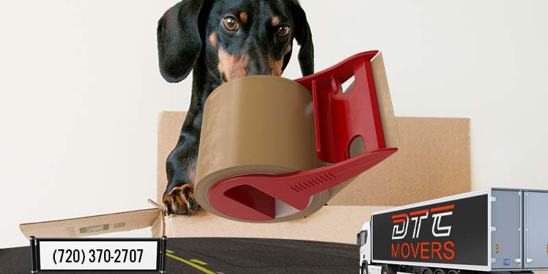 moving supplies in denver