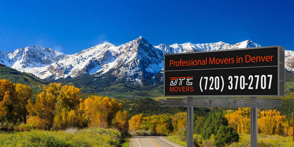 pro movers in denver