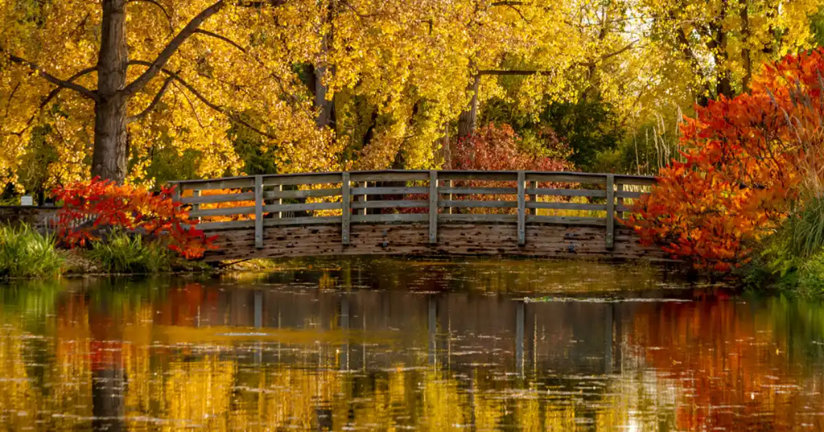 Hudson garden bridge in littleton co