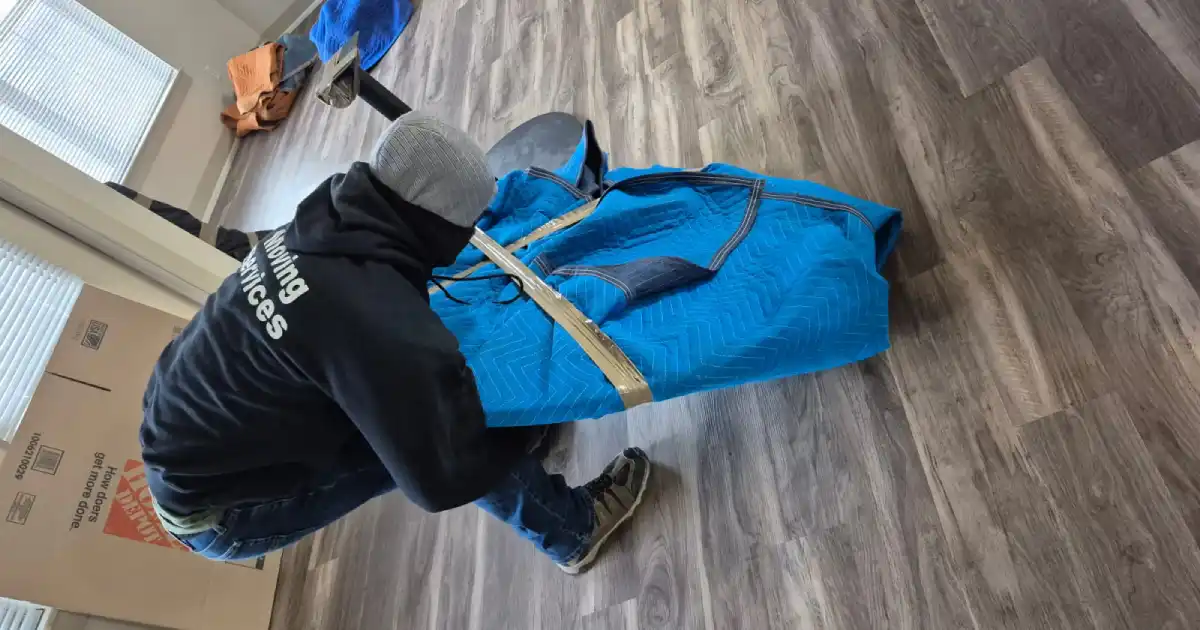 professional moving services in Denver 